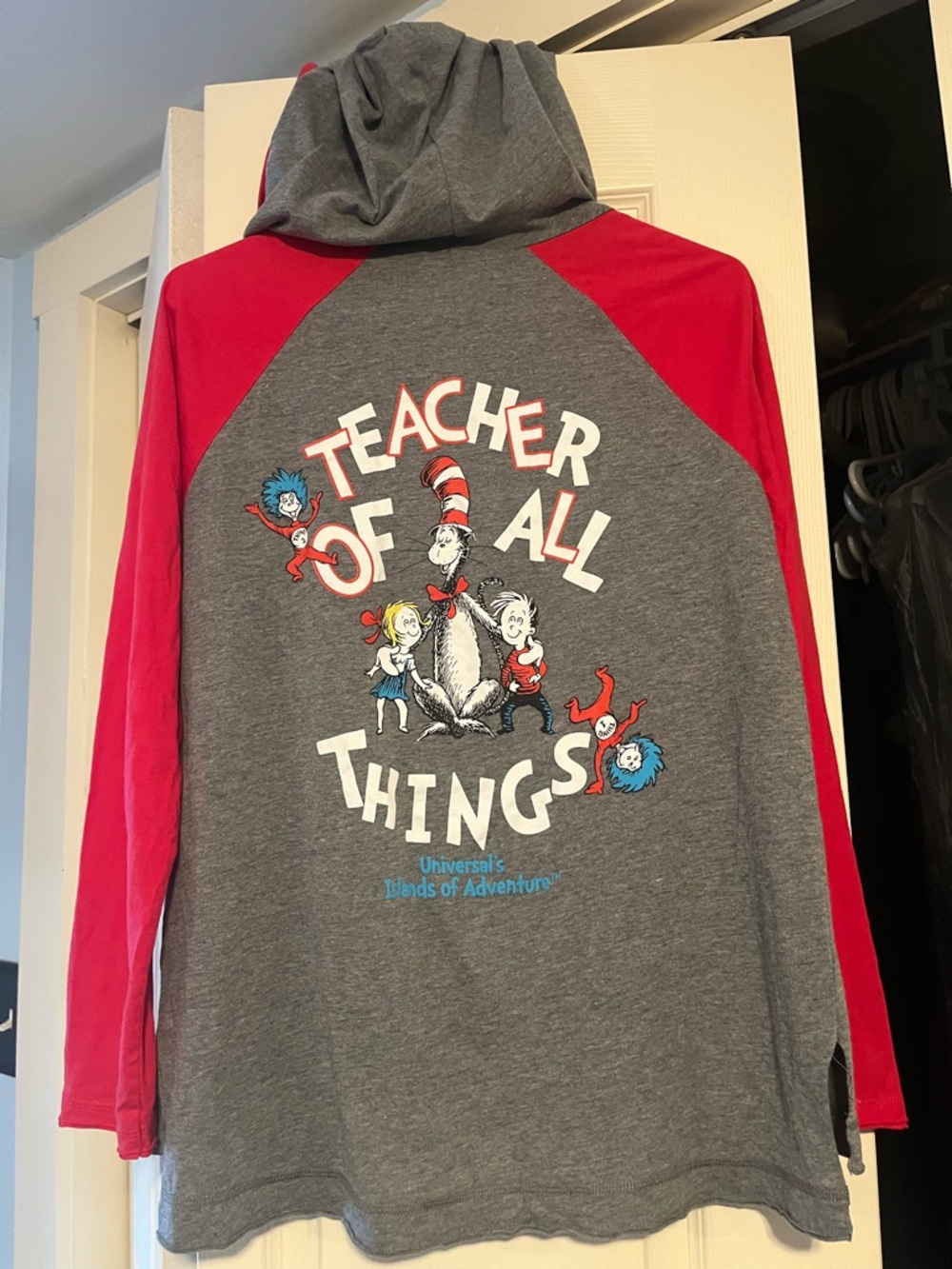 "Teacher of All Things" Dr. Seuss raglan tee with hood, NWOT